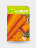 SEMILLAS DE ZANAHORIA DANVERS