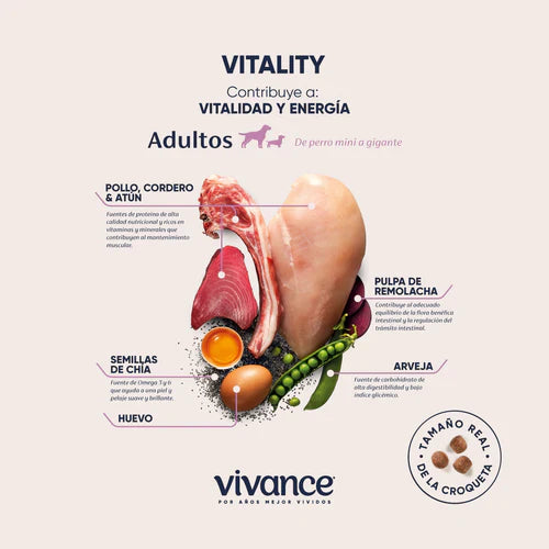 Vivance Vitality Adultos Alimento para Perros
