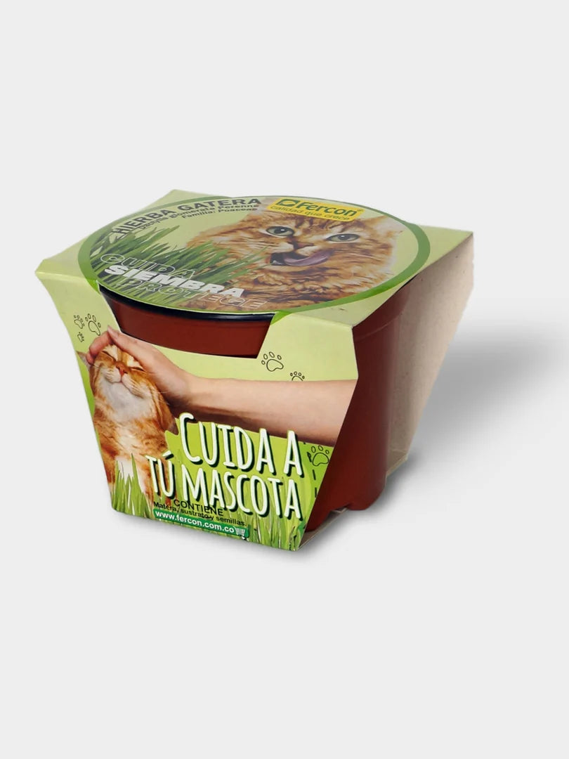 KIT SEMILLA DE HIERBA PARA GATOS