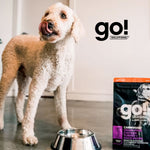 GO! Solutions Senior Carnivore Sin Grano Pollo Pavo Pato Alimento para perro