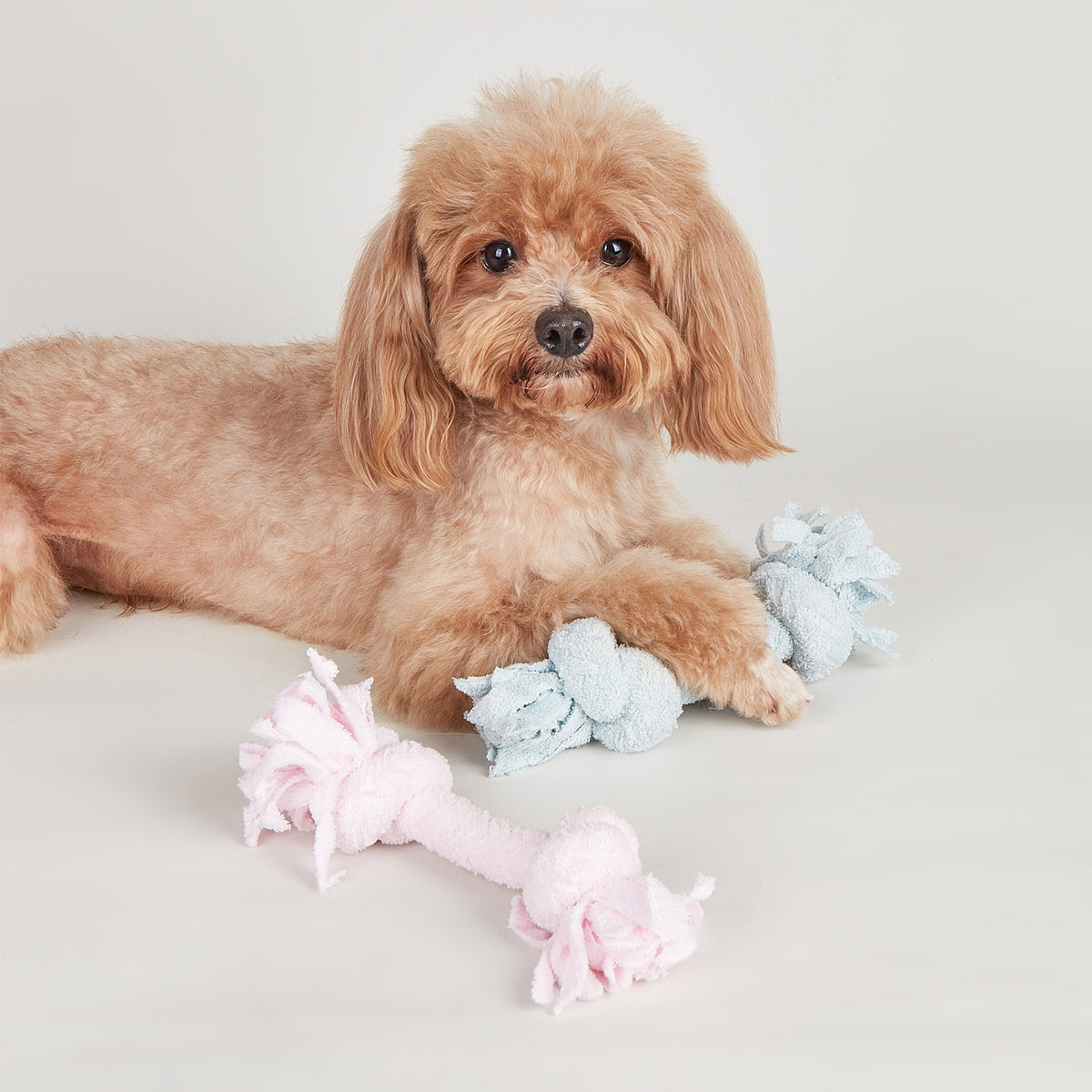 HUESITO TERRY DE 2 NUDOS DOGS ROSA DKT PW10024