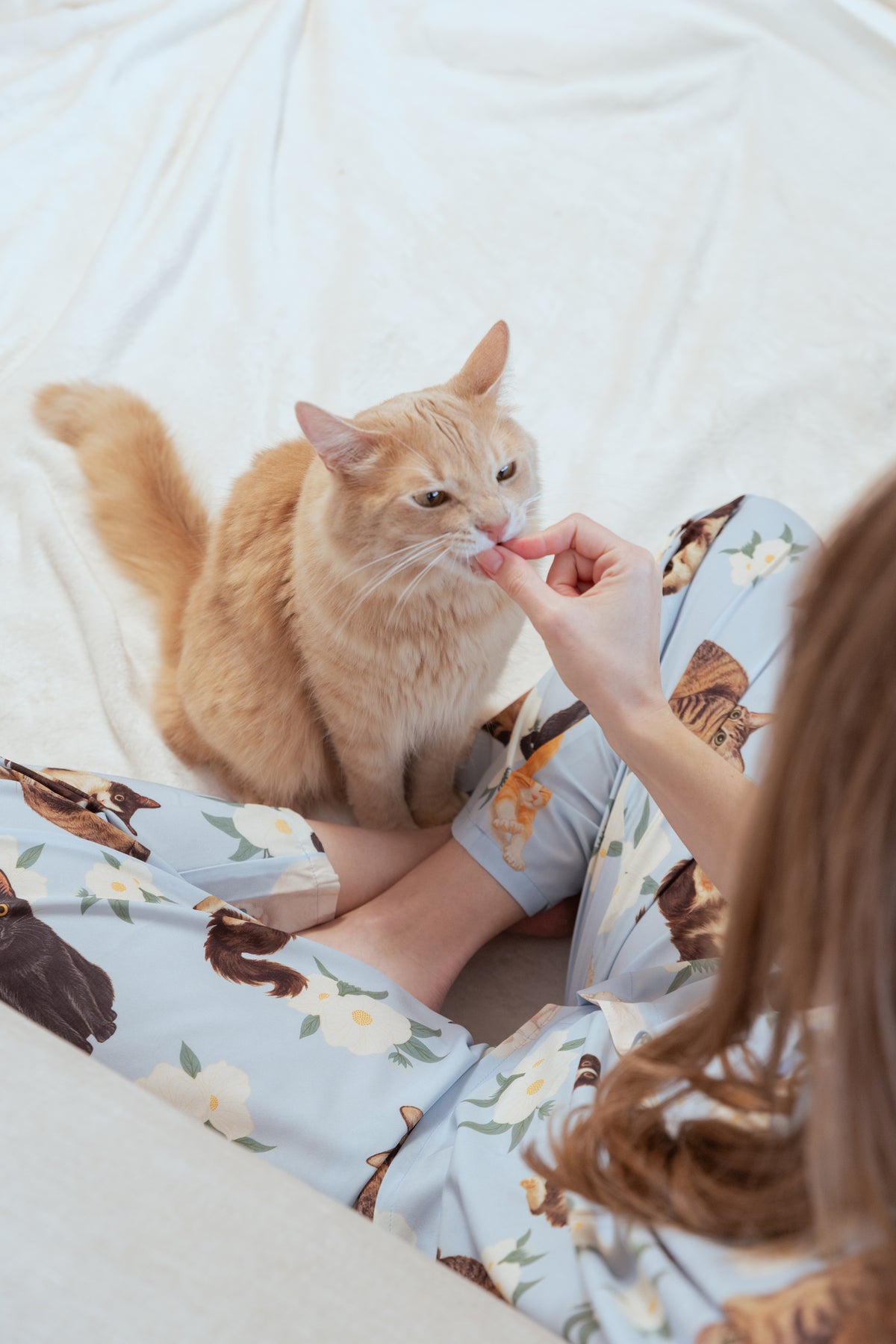 Pijama Pantalón Gatos Criollos Azul