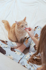 Pijama Pantalón Gatos Criollos Azul