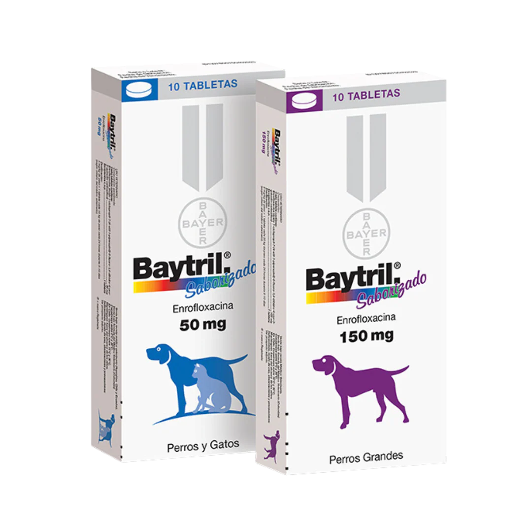 Baytril Antibiótico para Perros