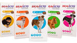 Bravecto Antipulgas para Perros