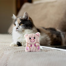 Cargar imagen en el visor de la galería, CERDO FLOPPY CATNIP DKT PW10056