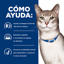 Cargar imagen en el visor de la galería, Hills Felino Kidney Care k/d Alimento para Gatos
