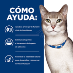 Hills Felino Kidney Care k/d Alimento para Gatos