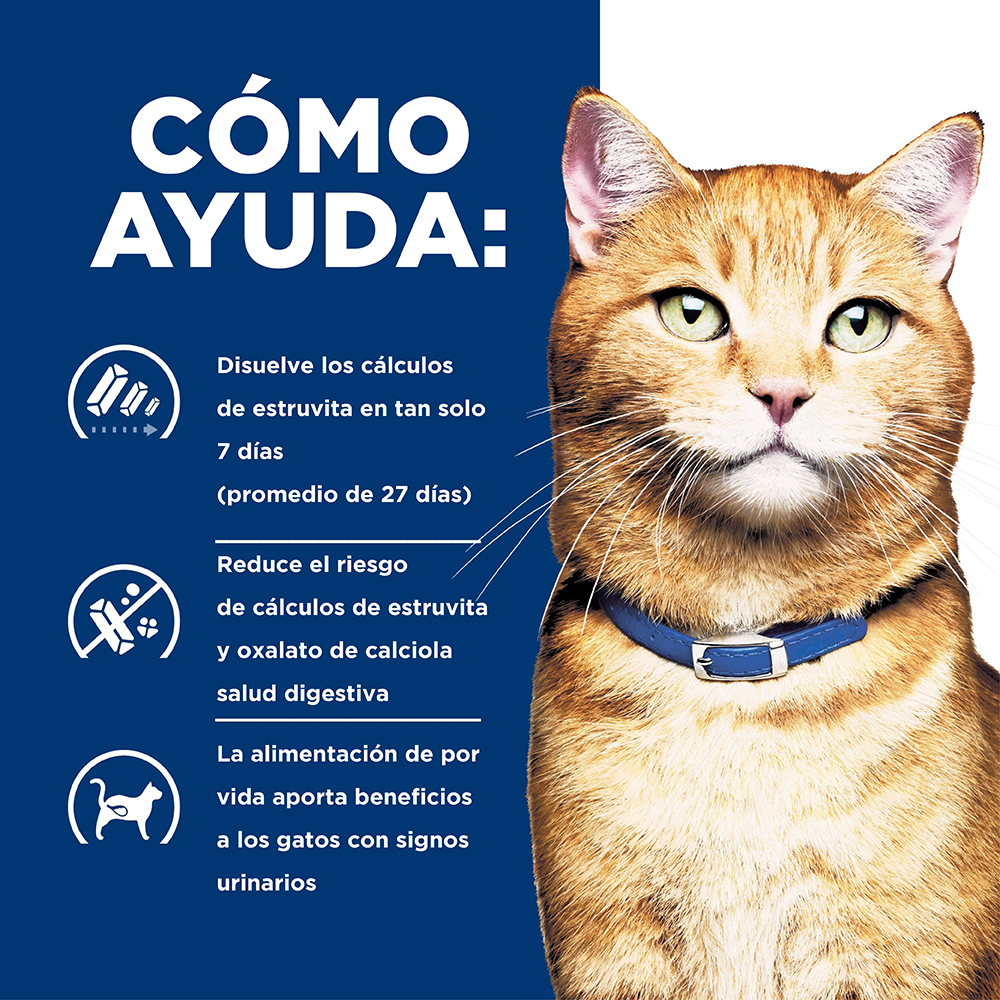 Hills Felino Urinary Care c/d Multicare Alimento para Gatos 4 LB