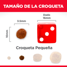 Cargar imagen en el visor de la galería, Hills Canino Sensitive Stomach & Skin Adult Alimento para Perros