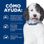 Hills Canino Urinary Care Multicare c/d Alimento para Perros