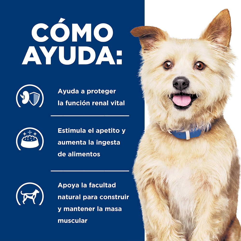 Hills Canino Kidney Care k/d Alimento para Perros