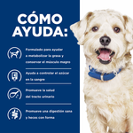 Hills Canino W/D Digestive/Weight/Glucose Management Alimento para Perros