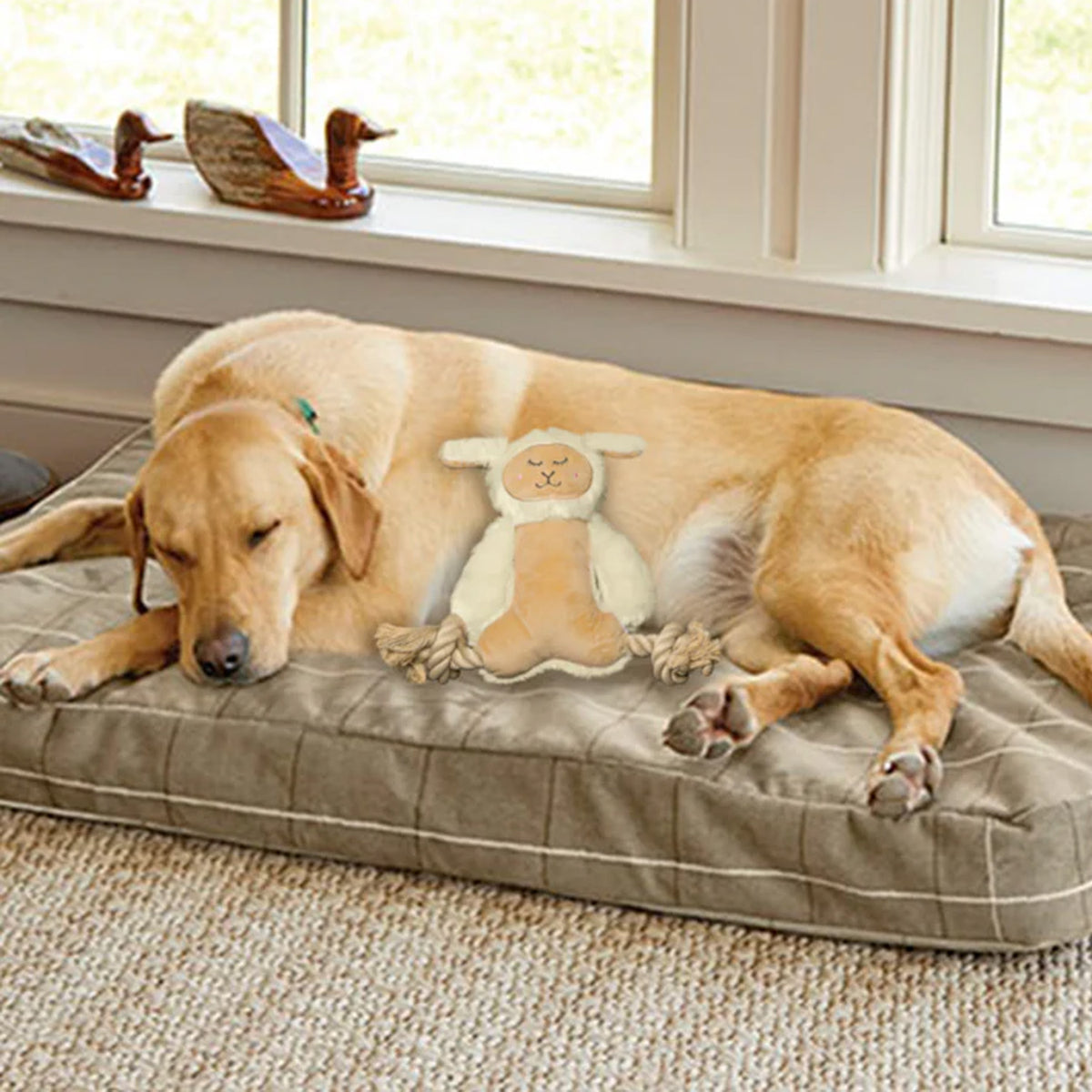 CORDERO FELPA CON PATAS DE CUERDA DOGM DKT PW10021