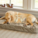 CORDERO FELPA CON PATAS DE CUERDA DOGM DKT PW10021