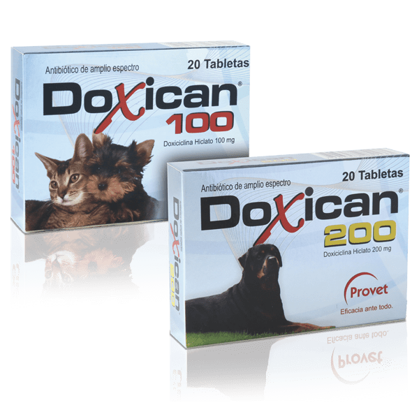 Doxican X Caja 20 Tab