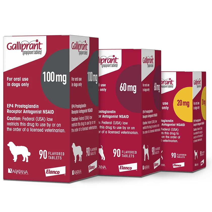 Galliprant antiinflamatorio