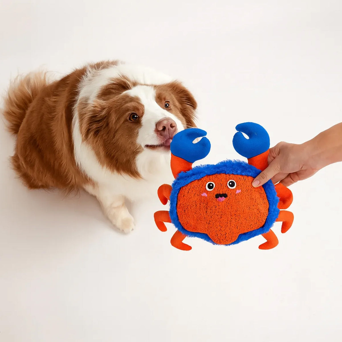 JUGUETE CANGREJO PELUCHE PERROS CHIRRIANTE PX10116