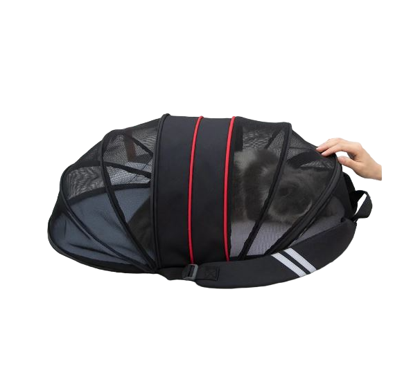 Morral Spring