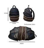 Morral Spring