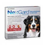 Nexgard Antipulgas y Antiparasitario