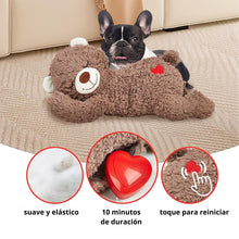 Cargar imagen en el visor de la galería, Juguete Para Perros Relajante Abrazo de Oso con Latidos