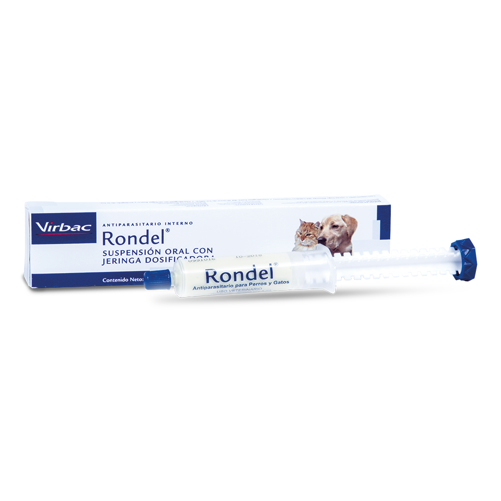 RONDEL