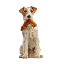 Cargar imagen en el visor de la galería, Juguete Para Perros ZORRO SIN RELLENO