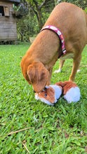 Cargar imagen en el visor de la galería, Juguete Para Perros ZORRO SIN RELLENO