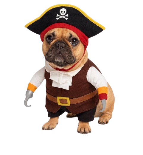Disfraz Para Mascotas Pirata