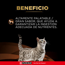 PROPLAN LATA FELINE NF EARLY 156 G