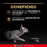 Pro Plan Kitten para Gatos