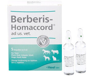 BERBERIS-HOMACCORD X AMPOLLA X 5 ML