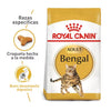 ROYAL CANINBENGAL X 2 KG