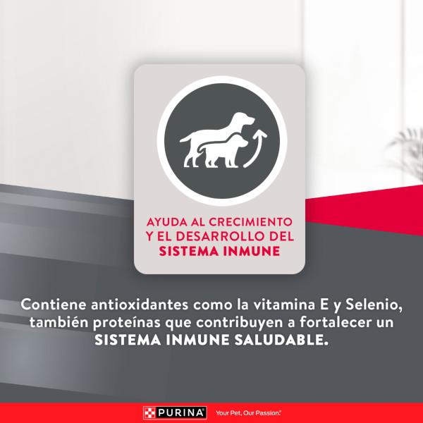 Excellent Puppy Medium & Large Breed Alimento para Perros