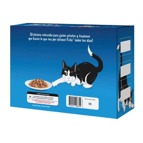 Lata Felix Surtido Pague 5 - lleve 6 Alimento para Gatos Purina 85gr/und