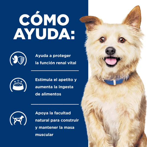 Hills Canine K/D lata 13 onz | La Casa del Granjero
