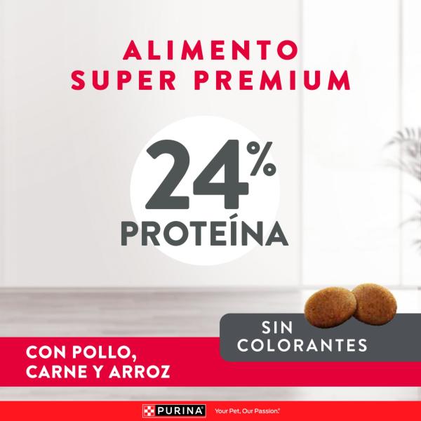 Excellent Adult Alimento para Perros