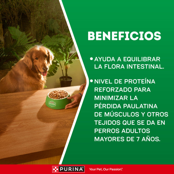 Dog Chow Edad Madura 7+ Todas las Razas Alimento para Perros