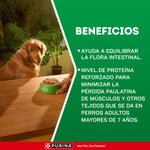 Dog Chow Edad Madura 7+ Todas las Razas Alimento para Perros