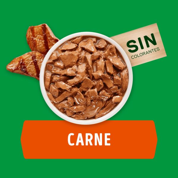 Dog Chow Pouch Carne Minis y Pequeños 100gr