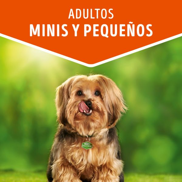 Dog Chow Pouch Carne Minis y Pequeños 100gr
