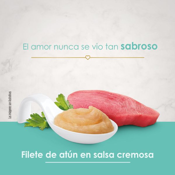 Fancy Puree Kiss Con Filete de Atún en Salsa Cremosa 40 GR