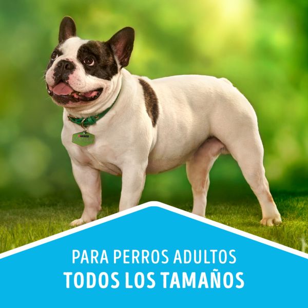 Dog Chow Sano y en Forma control de de peso Alimento para Perros