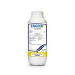 ENGEO