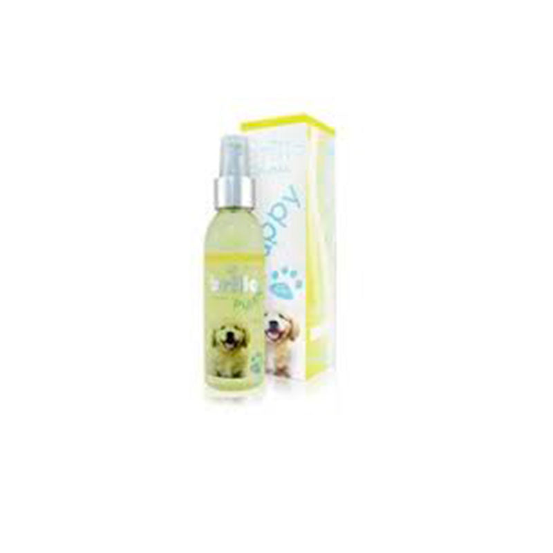 COLONIA BRILLO PUPPY