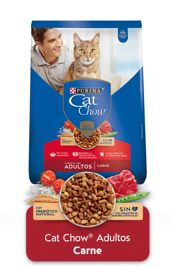CAT CHOW AD CARNE