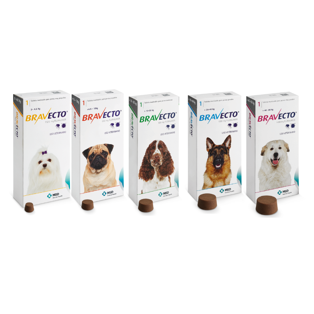 Bravecto Antipulgas para Perros Croquetas MSD