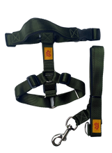 Cargar imagen en el visor de la galería, COMBO ARNES H3 LULA&TETE