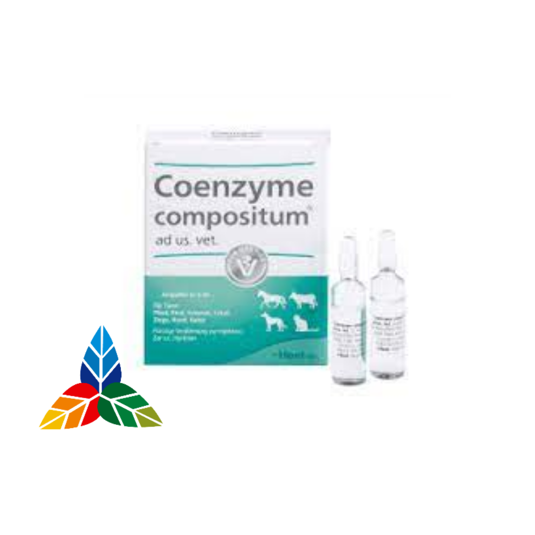 COENZYME COMPOSITUM